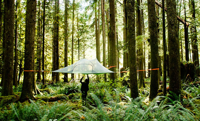 Must-Have Camping Gadgets